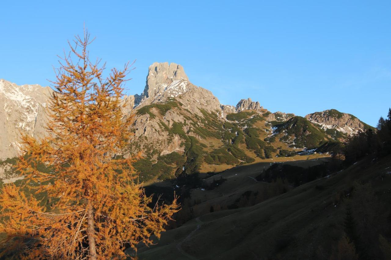 Payrhof Hotel Annaberg im Lammertal Luaran gambar