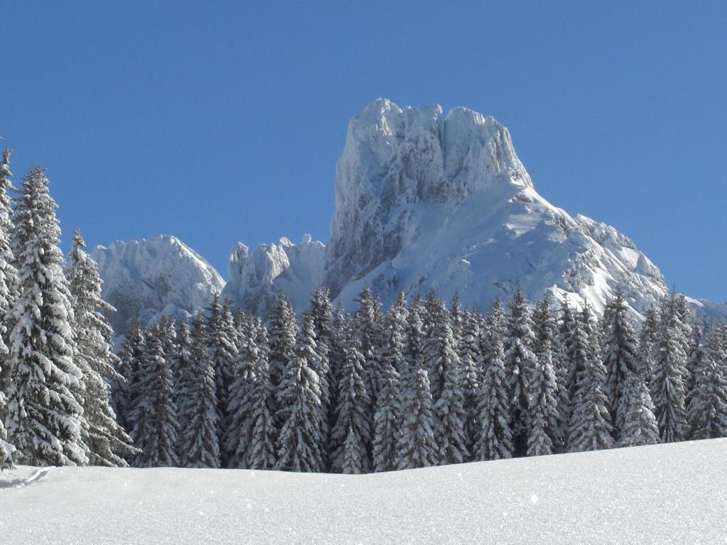 Payrhof Hotel Annaberg im Lammertal Luaran gambar