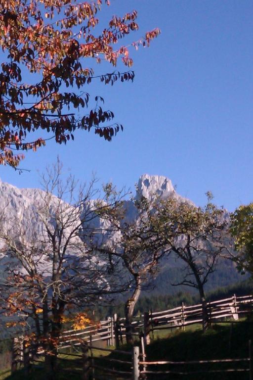 Payrhof Hotel Annaberg im Lammertal Luaran gambar